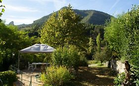gite au coeur des vignes